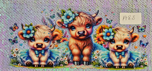 Highland Cow 31
