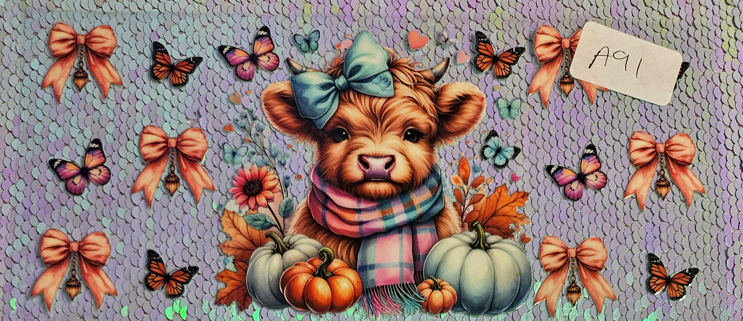 Highland Cow 34