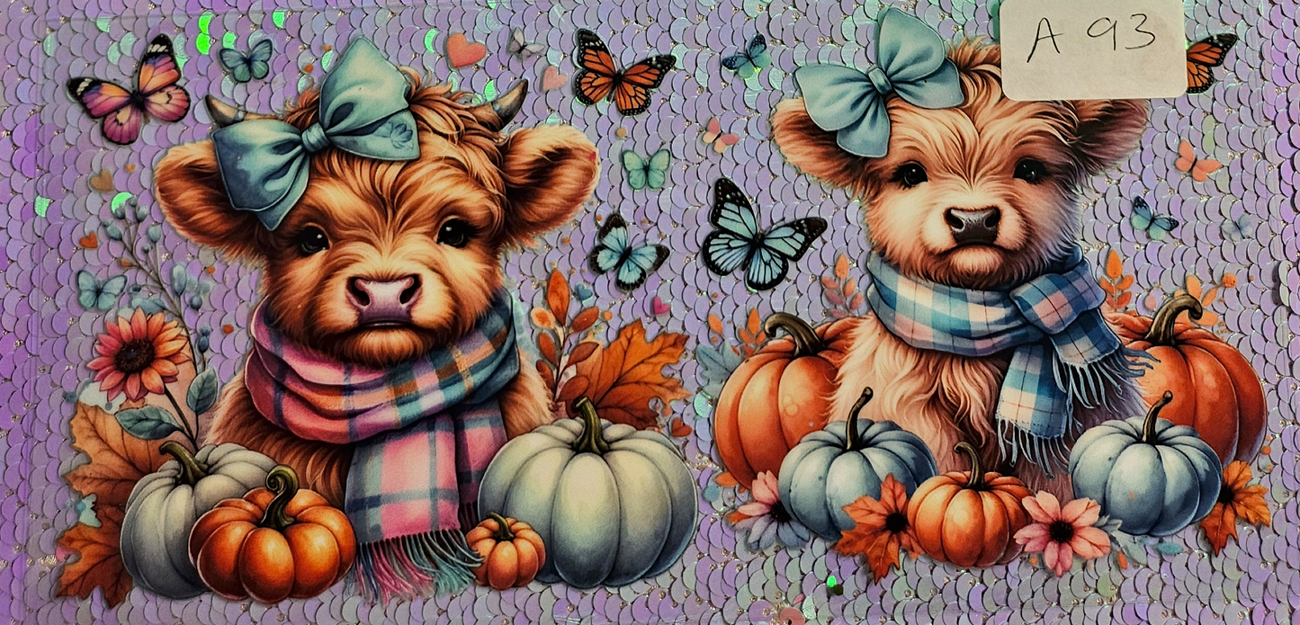 Highland Cow 36
