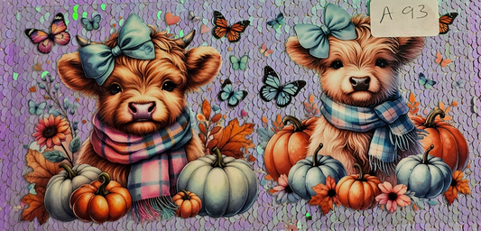 Highland Cow 36