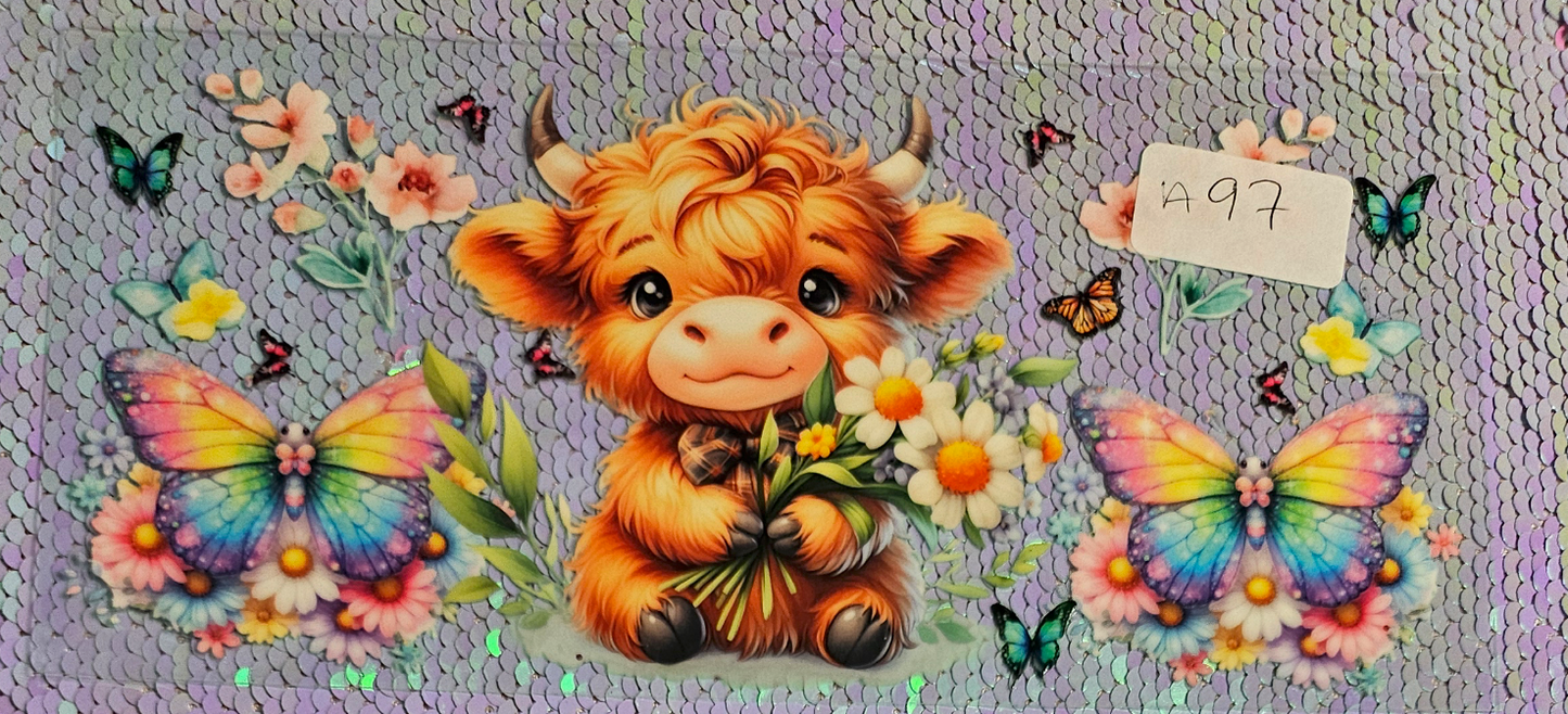 Highland Cow 40