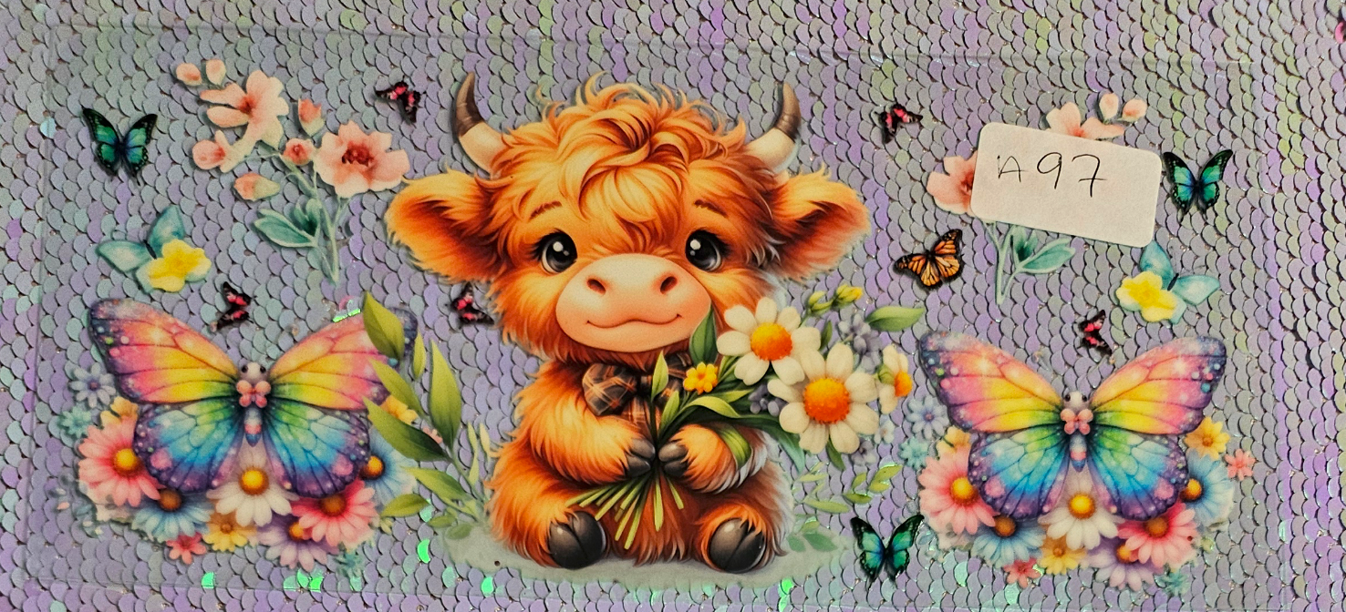 Highland Cow 40