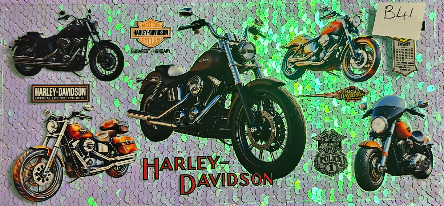 Harley Davidson 1