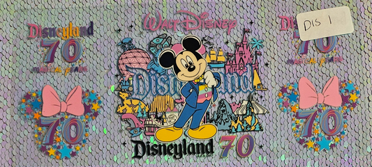 Disneyland 70
