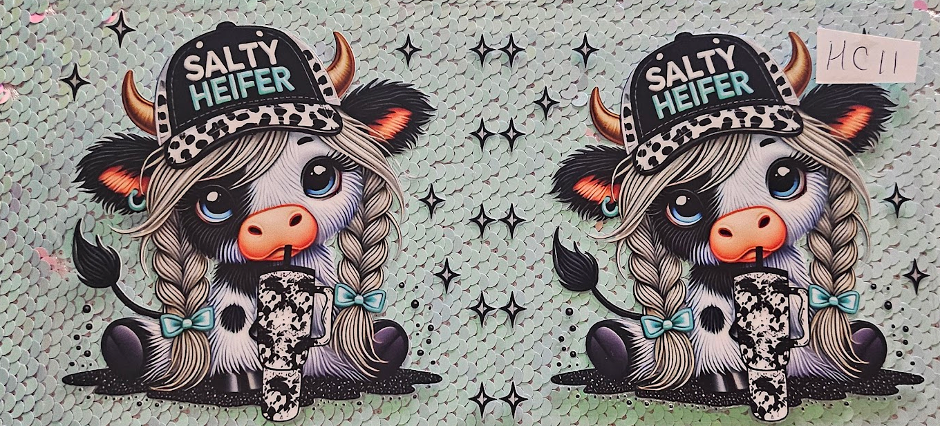 Highland Cow Salty Heffer 1