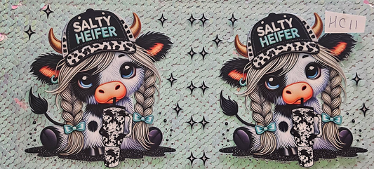 Highland Cow Salty Heffer 1