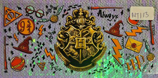 Harry Potter 34