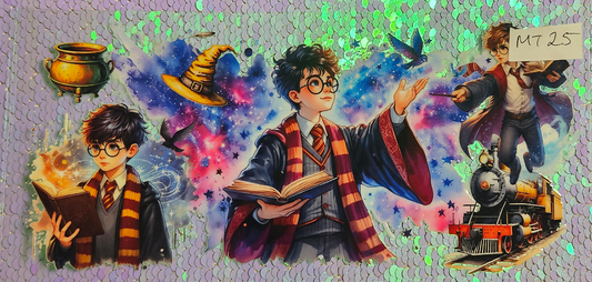 Harry Potter 6