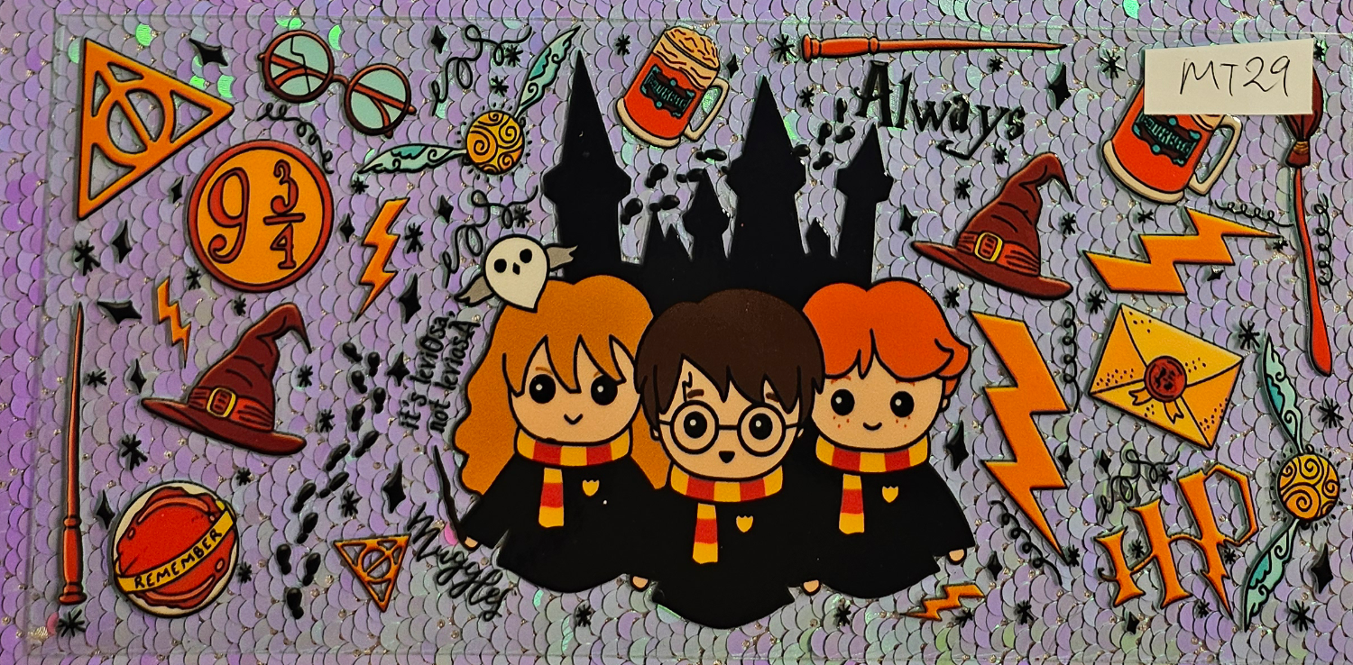 Harry Potter 10