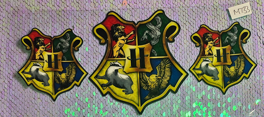 Harry Potter 13