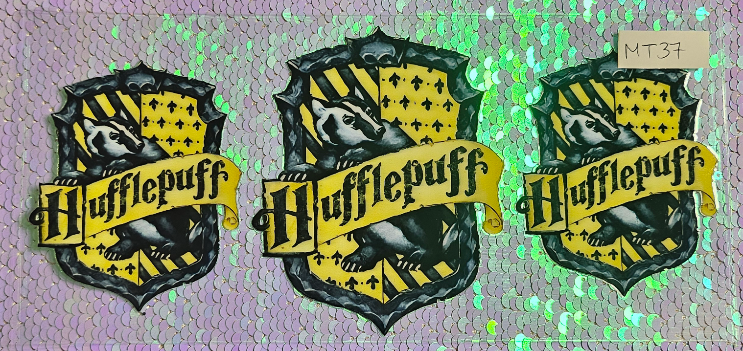 Harry Potter 17