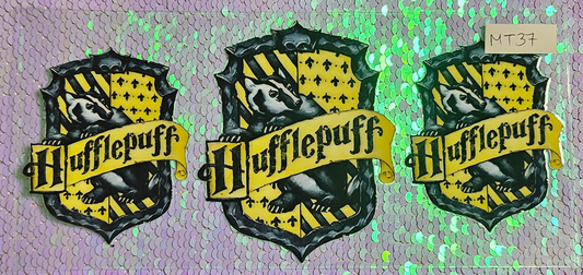 Harry Potter 17