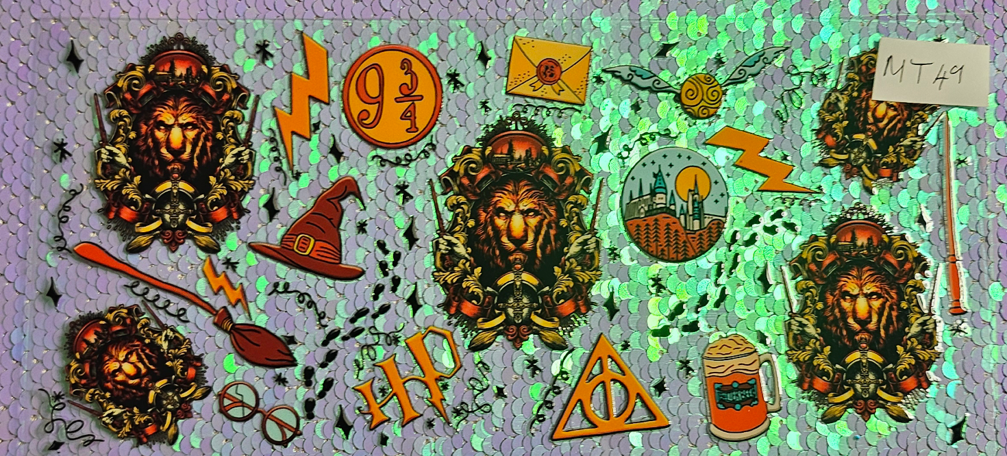 Harry Potter 24