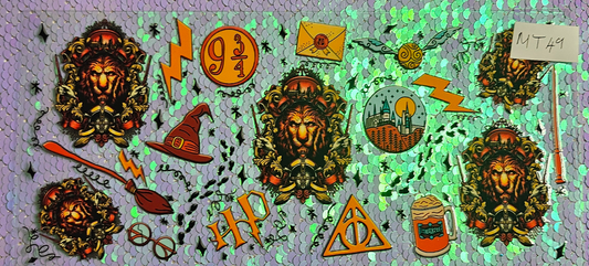 Harry Potter 24