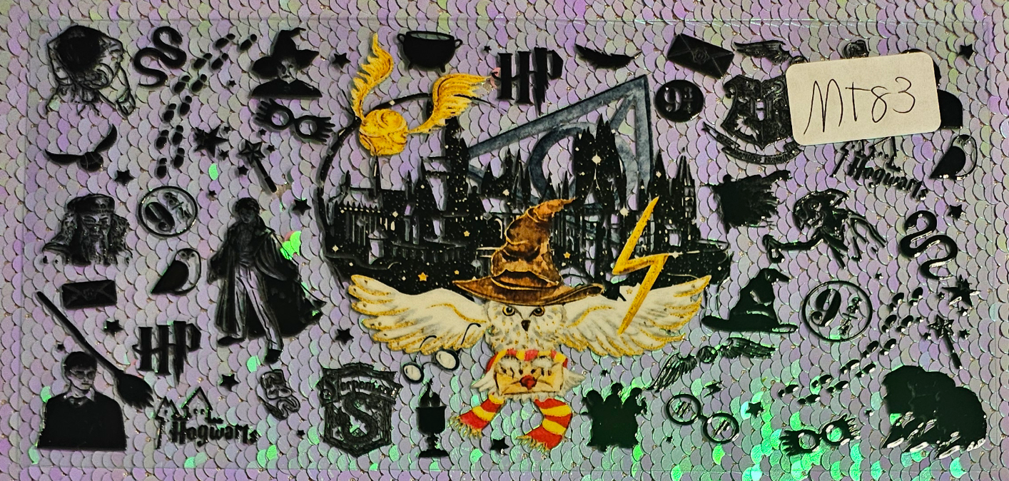 Harry Potter 31