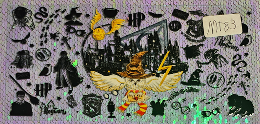 Harry Potter 31