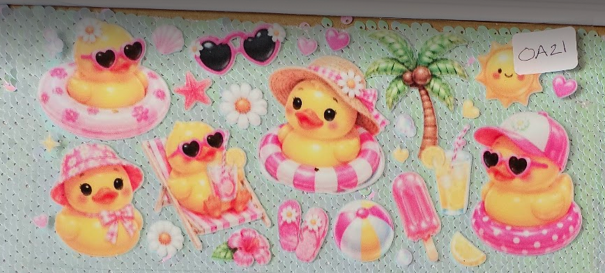 Summer Duck