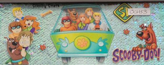 Scooby doo Bus