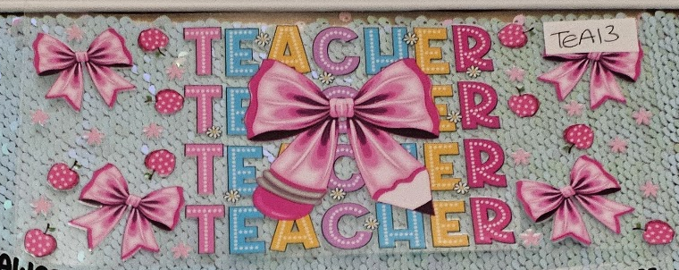 Teacher 13