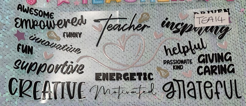 Teacher 14