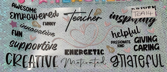 Teacher 14