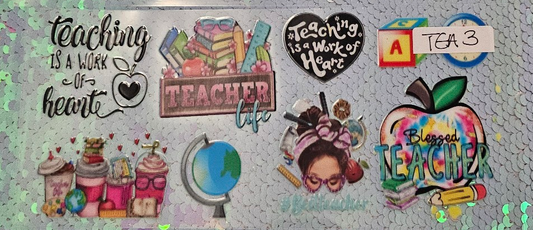 Teacher 3