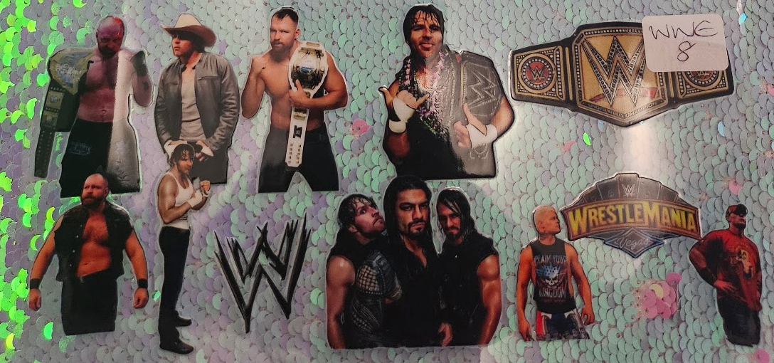 WWE 8