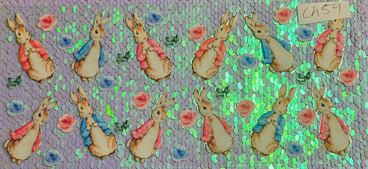 Peter Rabbit 1